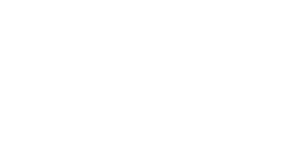 Traser Subvenciones